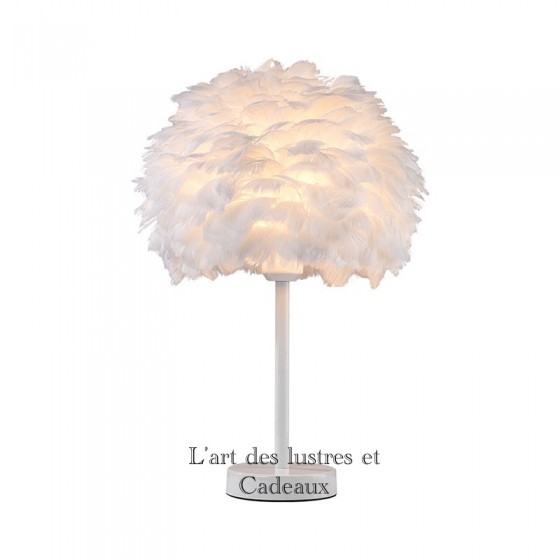 Veilleuse plume Blanc